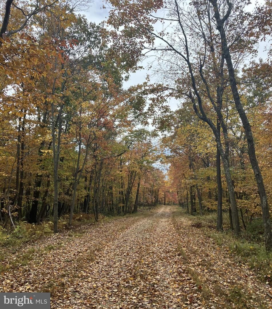 Property Photo:  Lot 149 Budwood Trl  VA 22602 