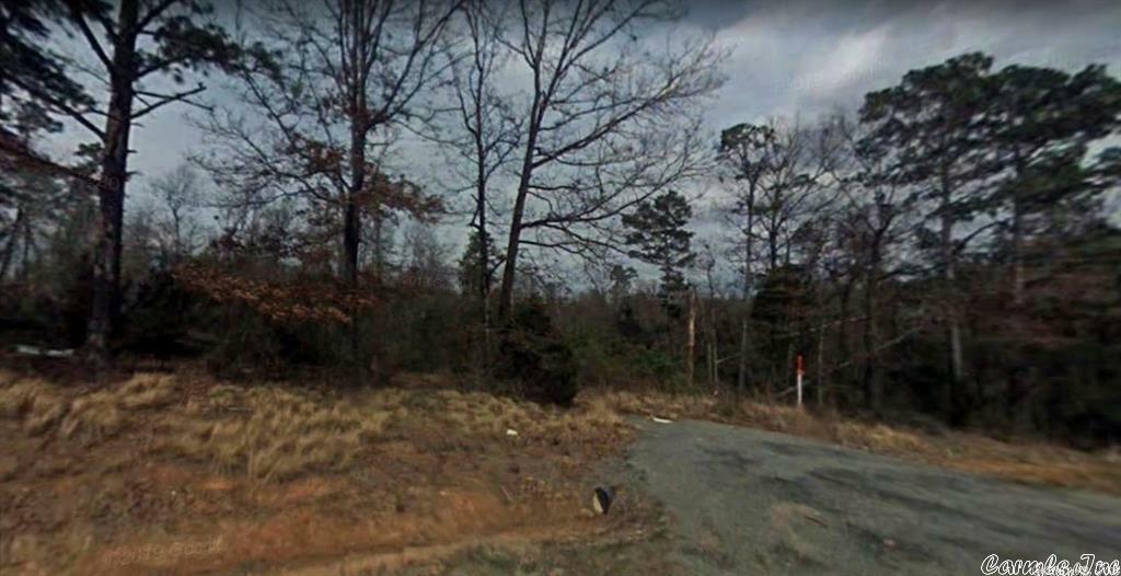 Property Photo:  000 Highway 124  AR 72030 