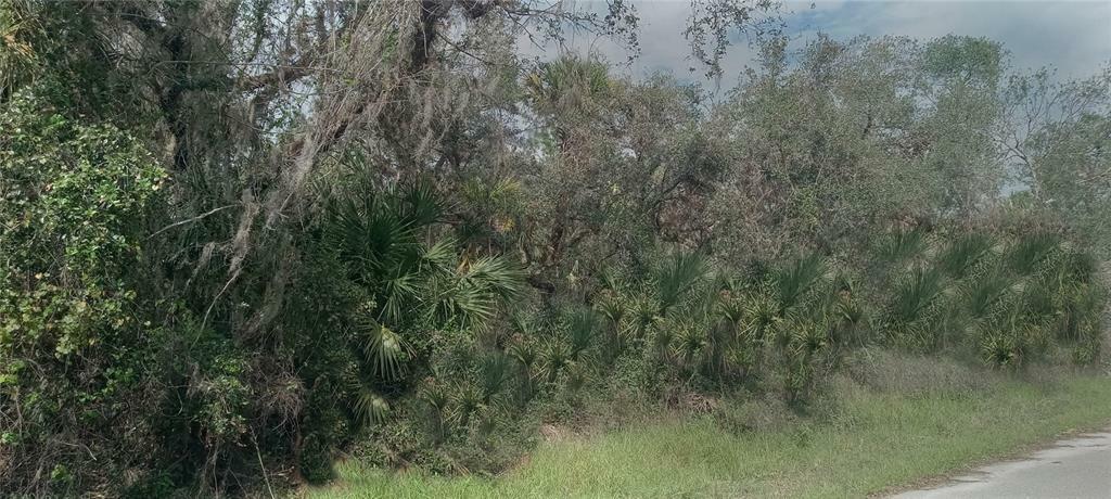 Property Photo:  Backert Road  FL 34291 