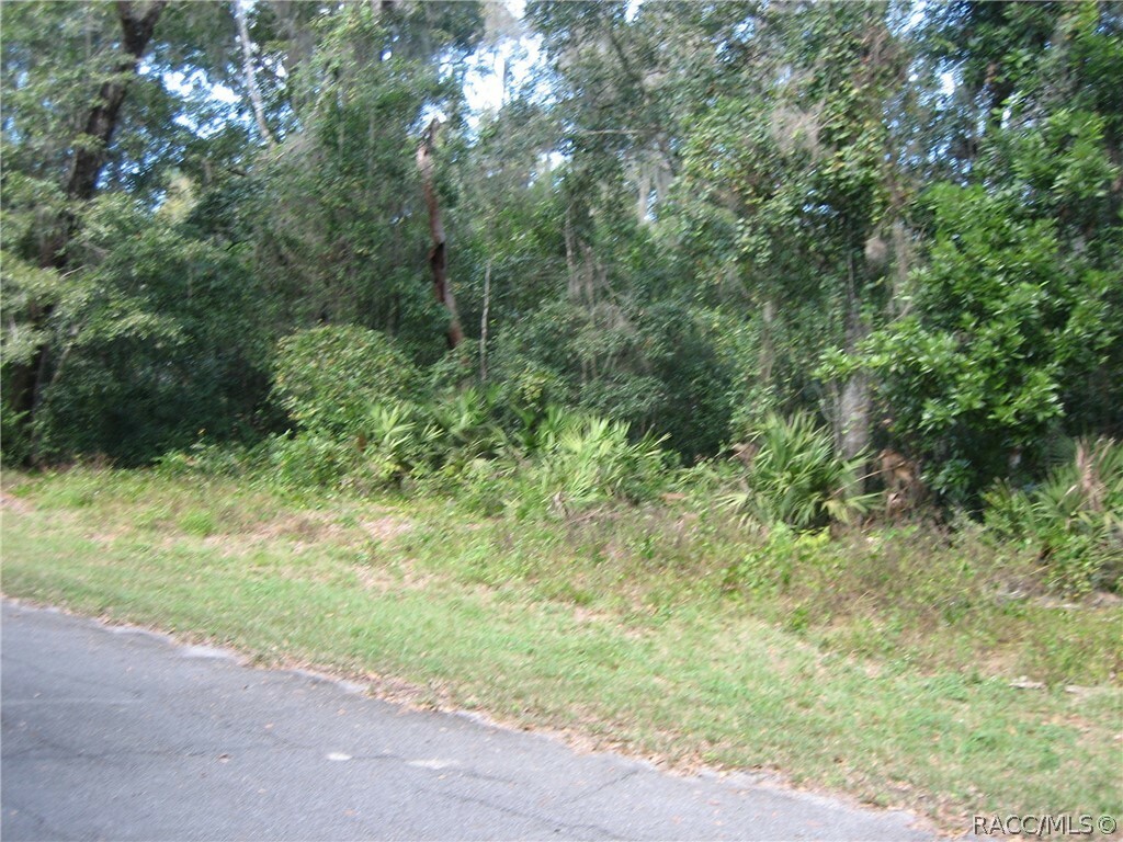 Property Photo:  6675 N Hartman Path  FL 34442 