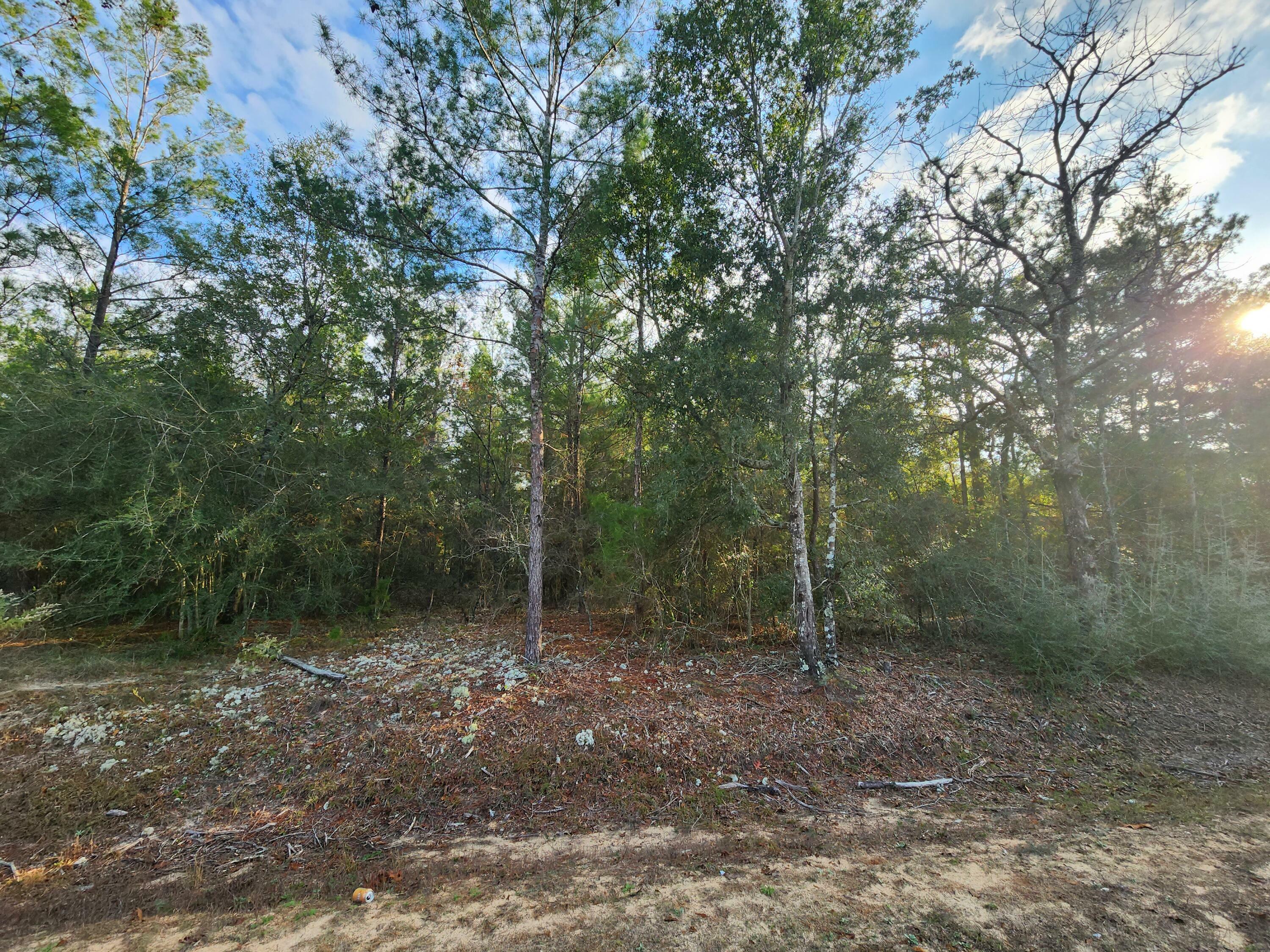 Property Photo:  Lots 2-3 Oakwood Lakes Boulevard Blk G  FL 32433 