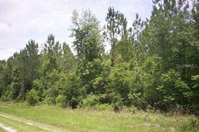 00 NE 138th Place NE  Waldo FL 32694 photo