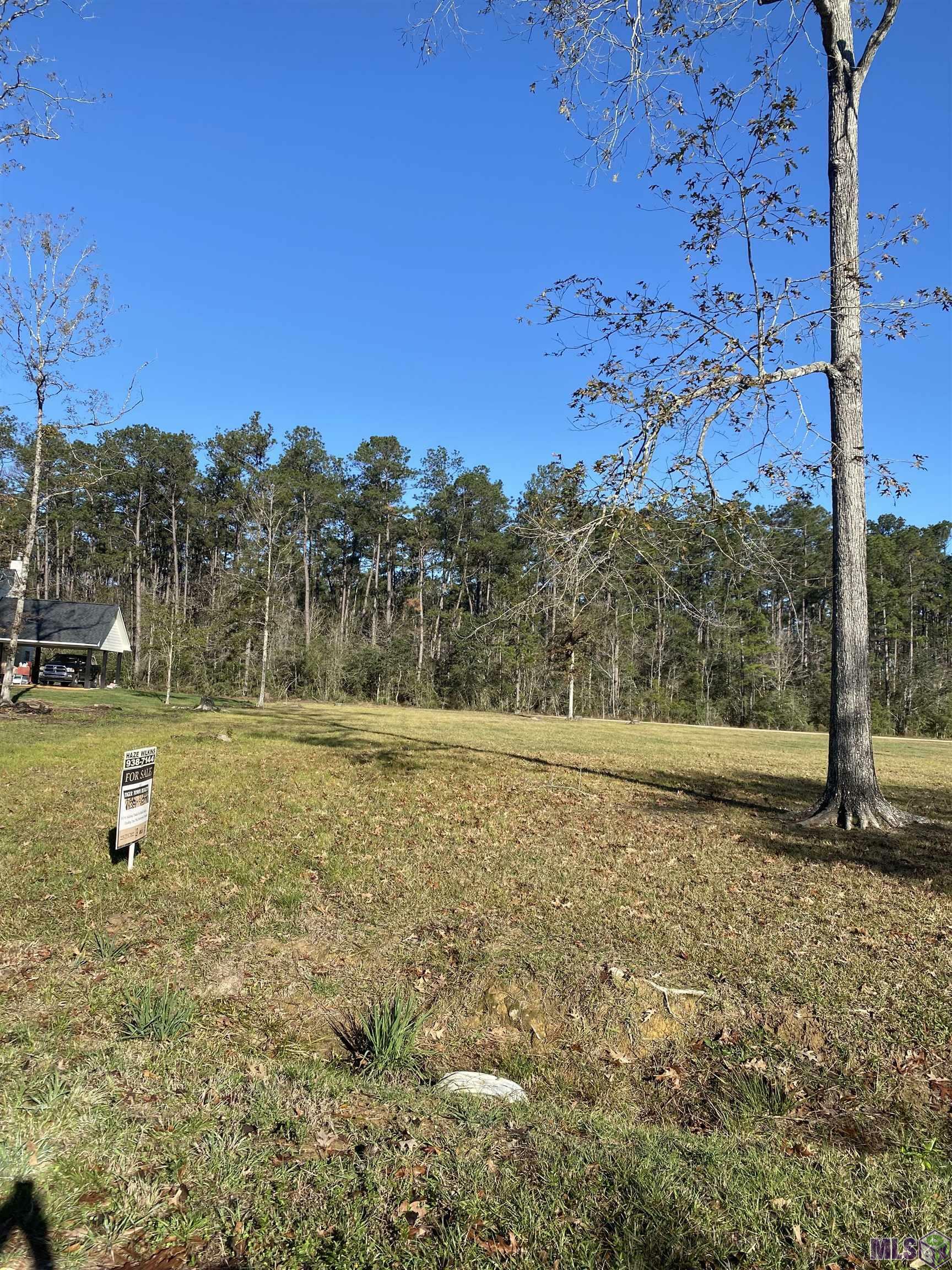 Property Photo:  31085 Dendinger Mill Rd  LA 70462 