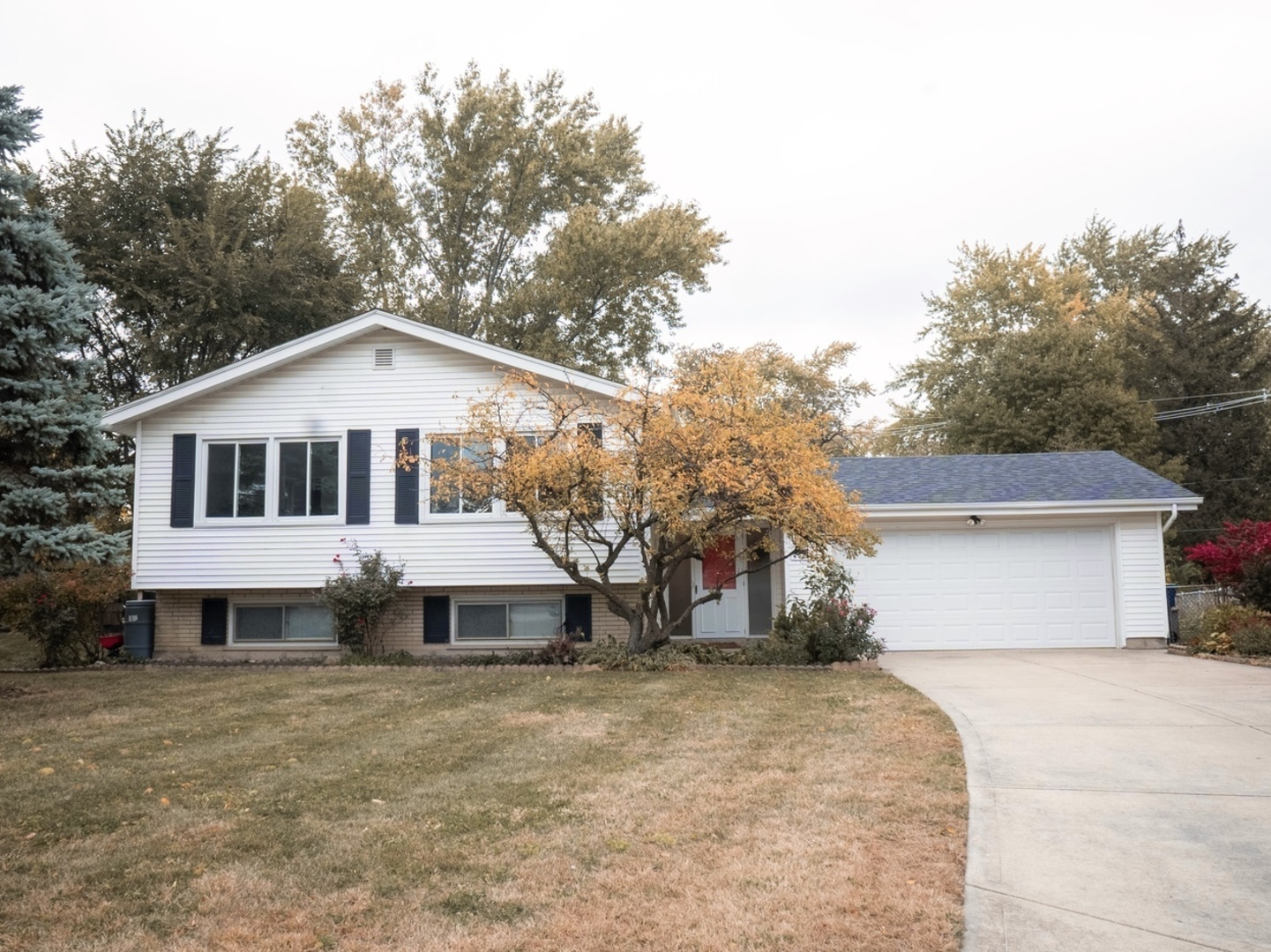 1244 Jeffery Drive  Homewood IL 60430 photo