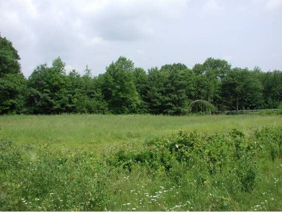 Property Photo:  34-36 Dunbarton Center Road  NH 03304 