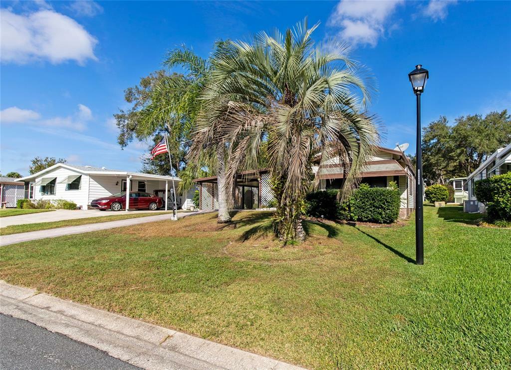 Property Photo:  719 Orchid Street  FL 32159 