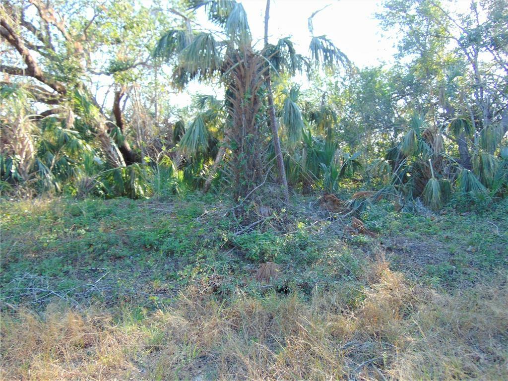 Property Photo:  Bowen Avenue  FL 34288 