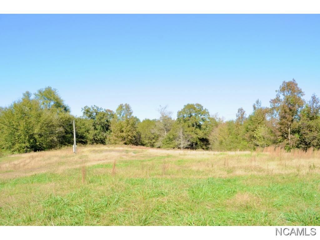 Property Photo:  36401 Alabama Hwy 91  AL 35055 - CULLMAN 