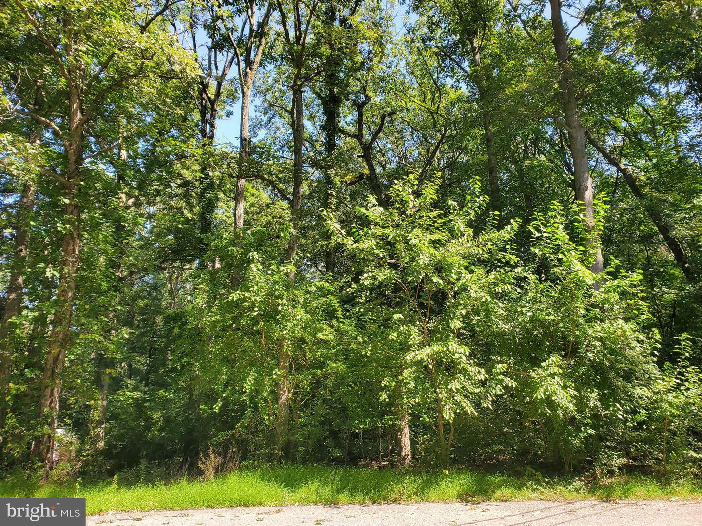 Property Photo: 0 Mountain Drive PA 17201