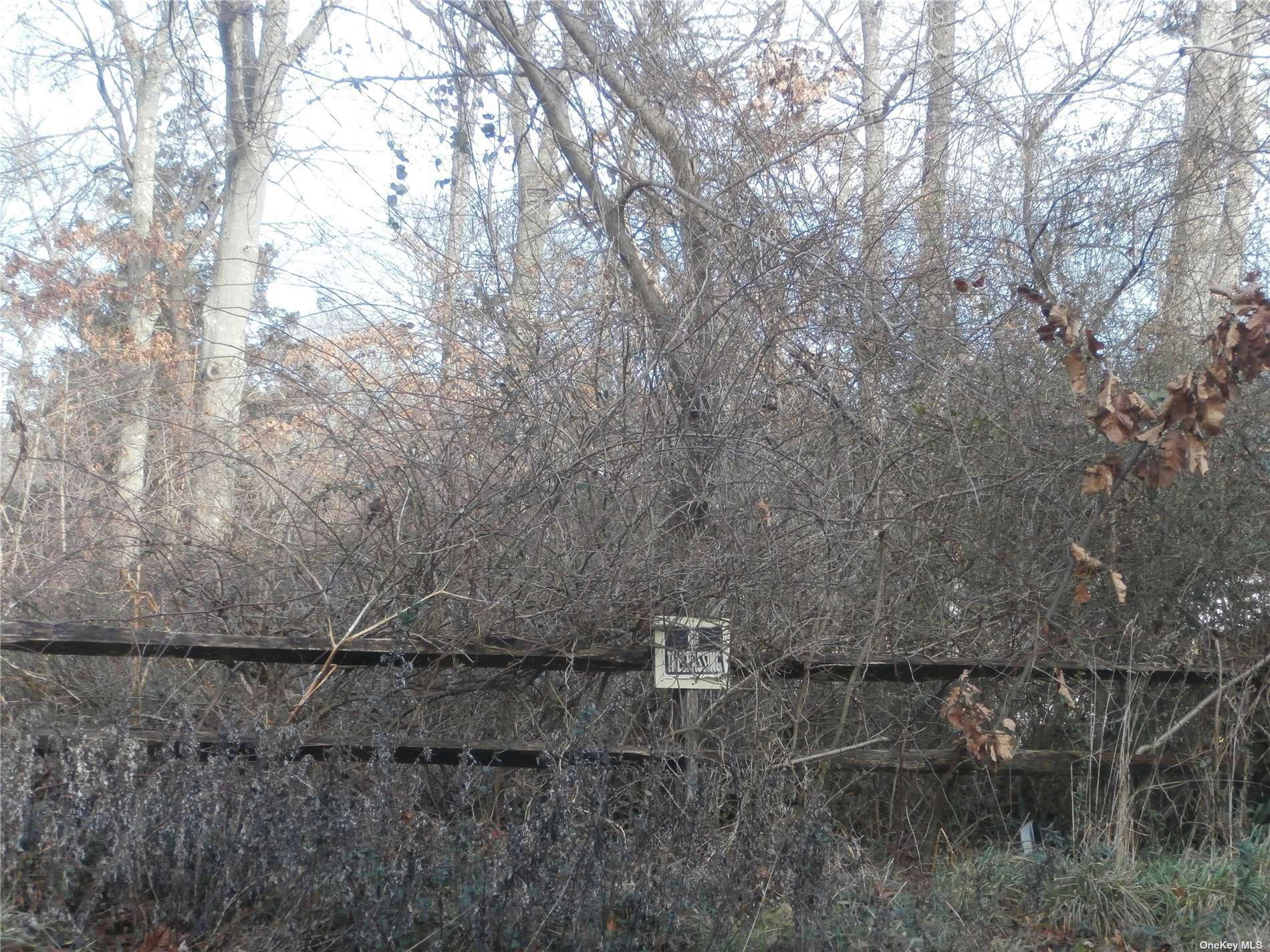 Property Photo: Vl 1st Place NY 11950