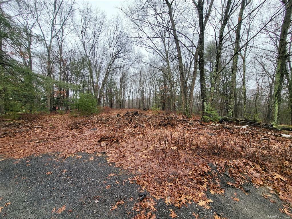 Property Photo: 85 Somarelli Road NY 12746