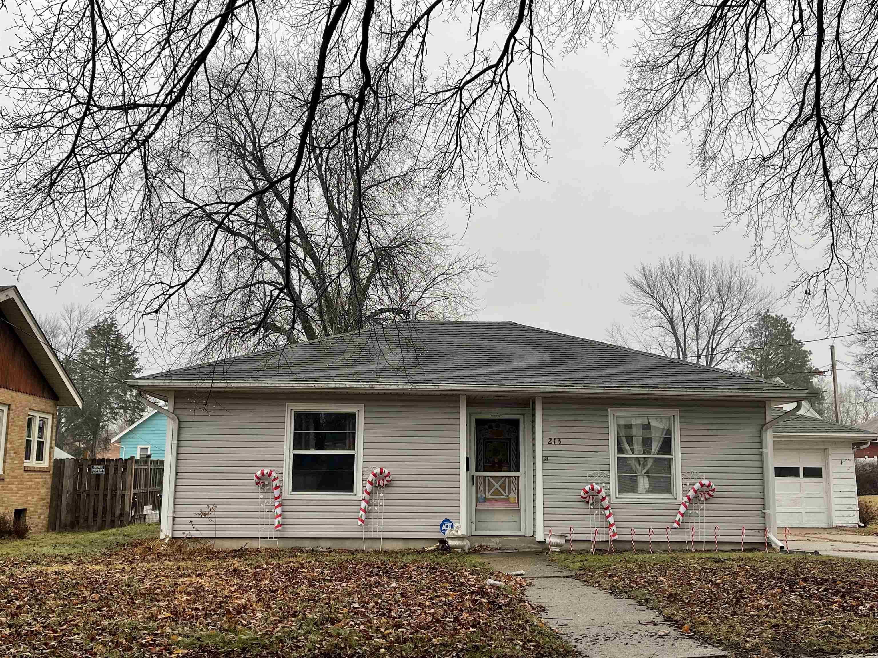 Property Photo:  213 Goodhue Street  IL 61080 