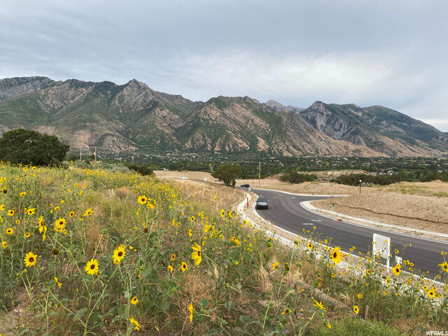 Property Photo:  Address not disclosed  UT 84004 