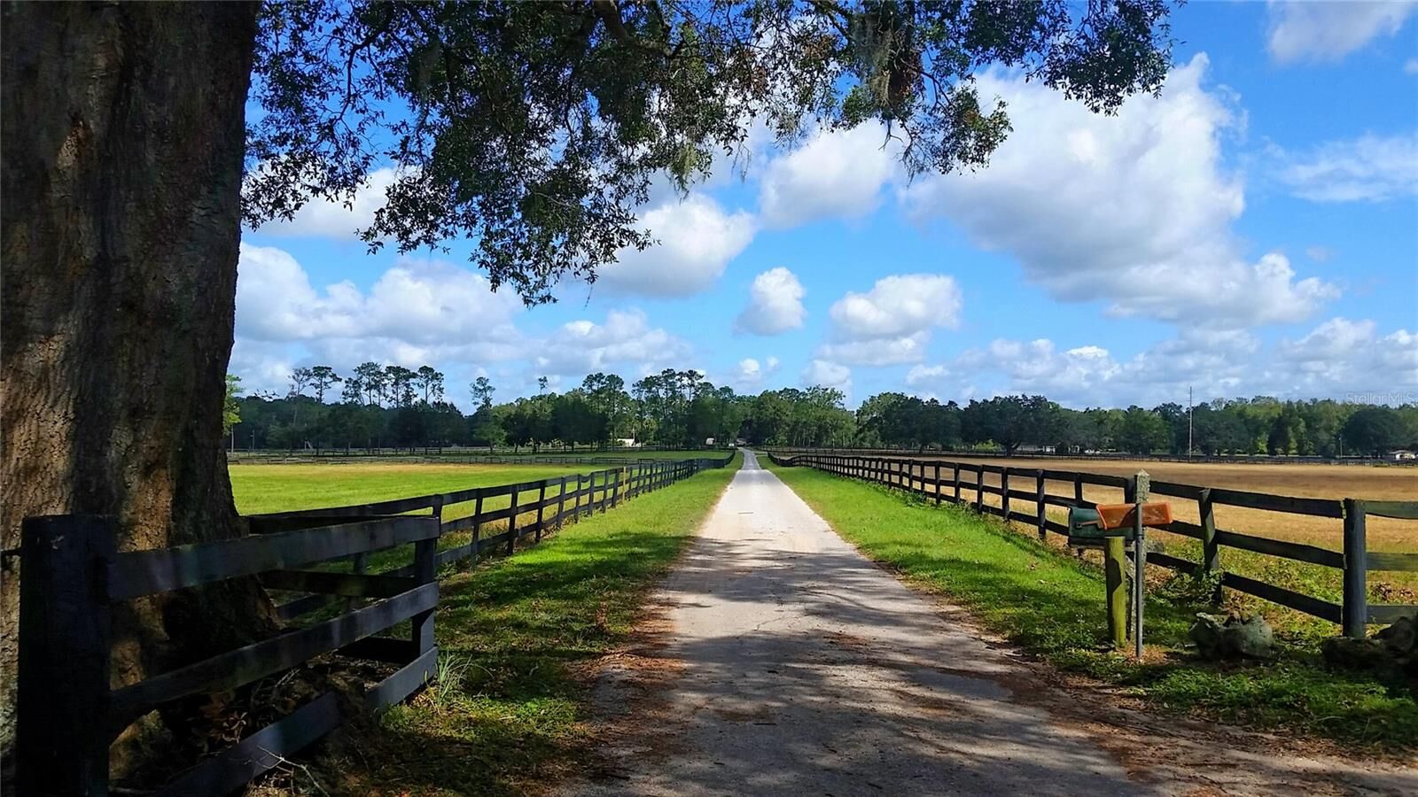Property Photo: 3570 NW 63rd Street FL 34475