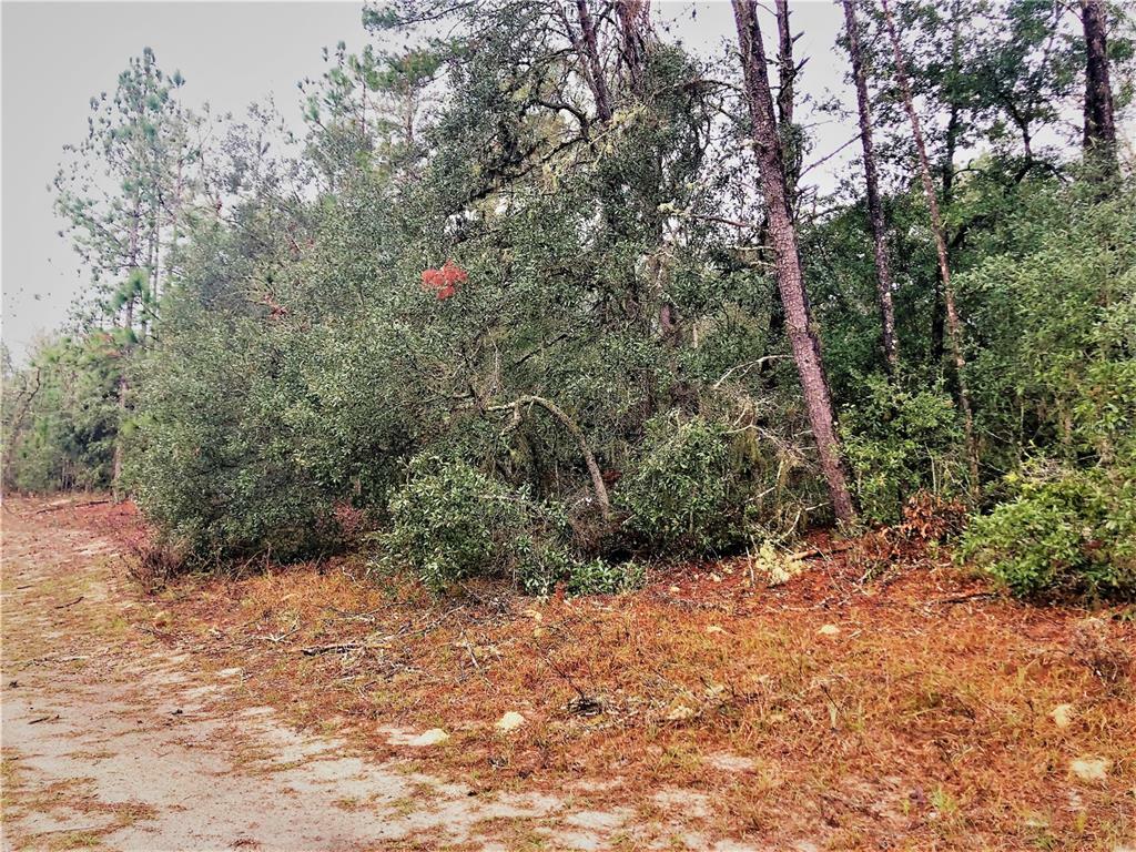 Property Photo:  9838 N Wayland Avenue  FL 34434 