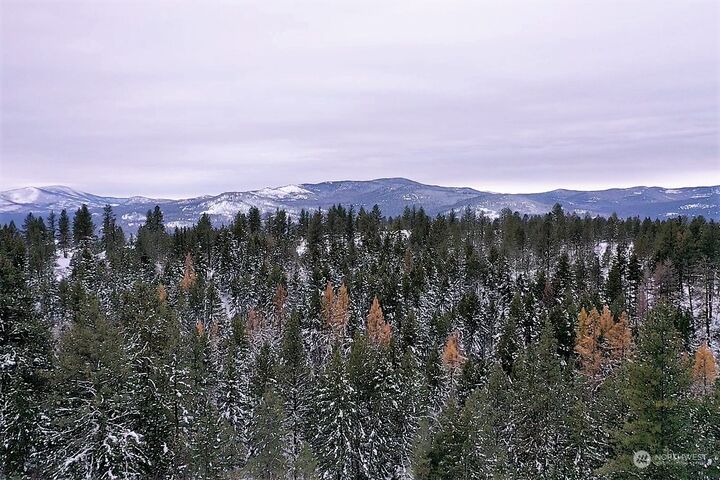 141 Blue Meadow Road  Tonasket WA 98855 photo