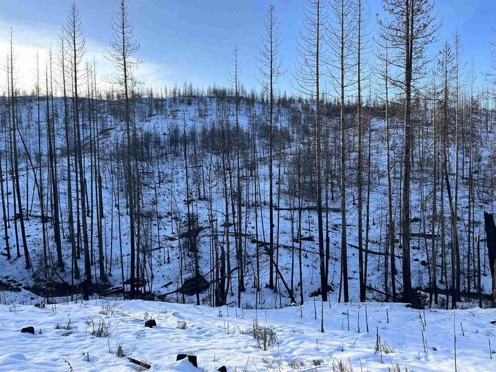 Lot 10 Rail Canyon Rd  Springdale WA 99173 photo