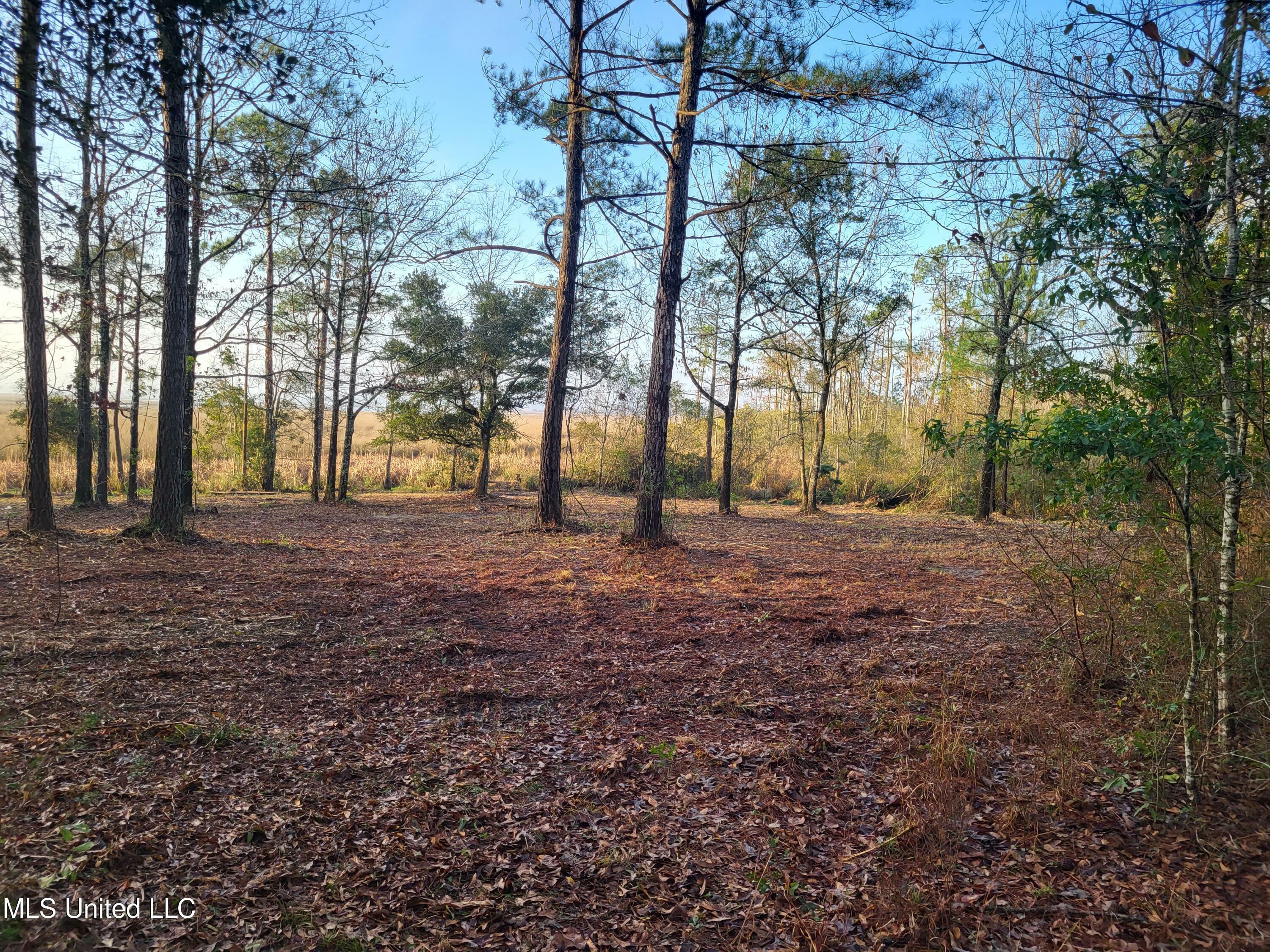 Property Photo:  W Oaklawn Road  MS 39532 