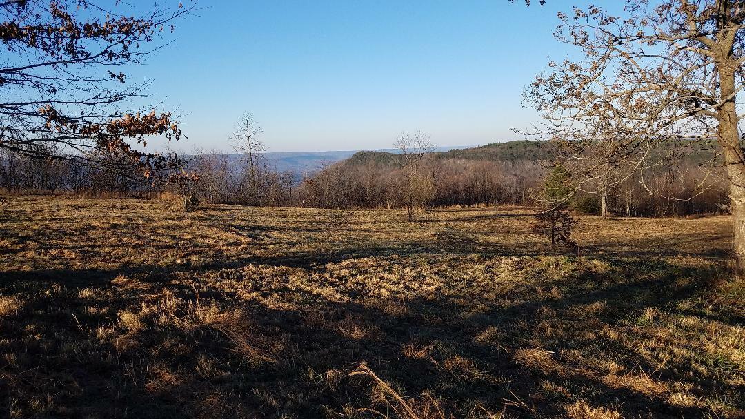 Property Photo:  163 E Raven Crest Trail  TN 37338 