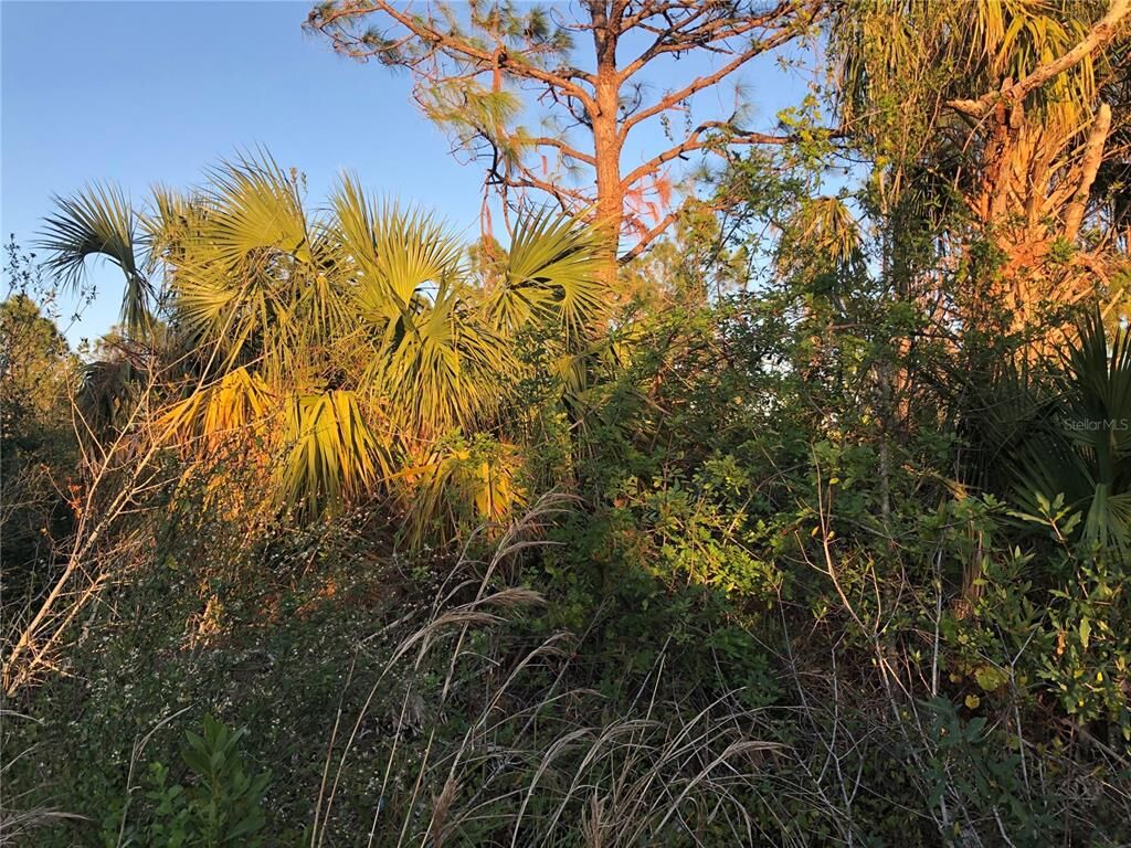 Property Photo:  8348 Sweden Boulevard  FL 33982 