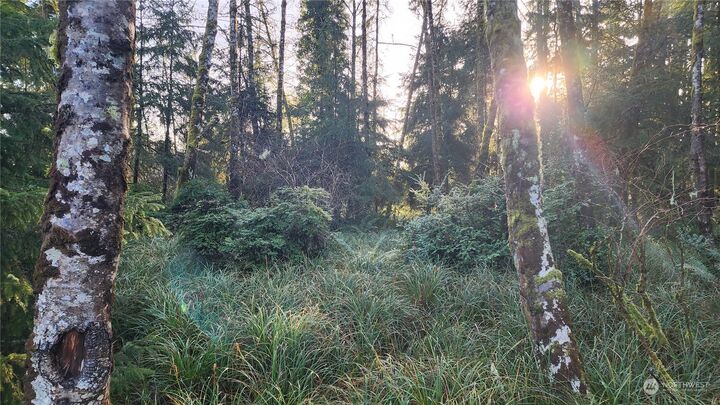 Property Photo:  275 Pearsall Street SW  WA 98569 