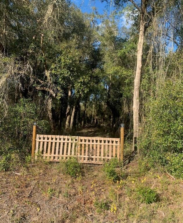 Property Photo:  0000 Sonia Avenue  FL 33597 