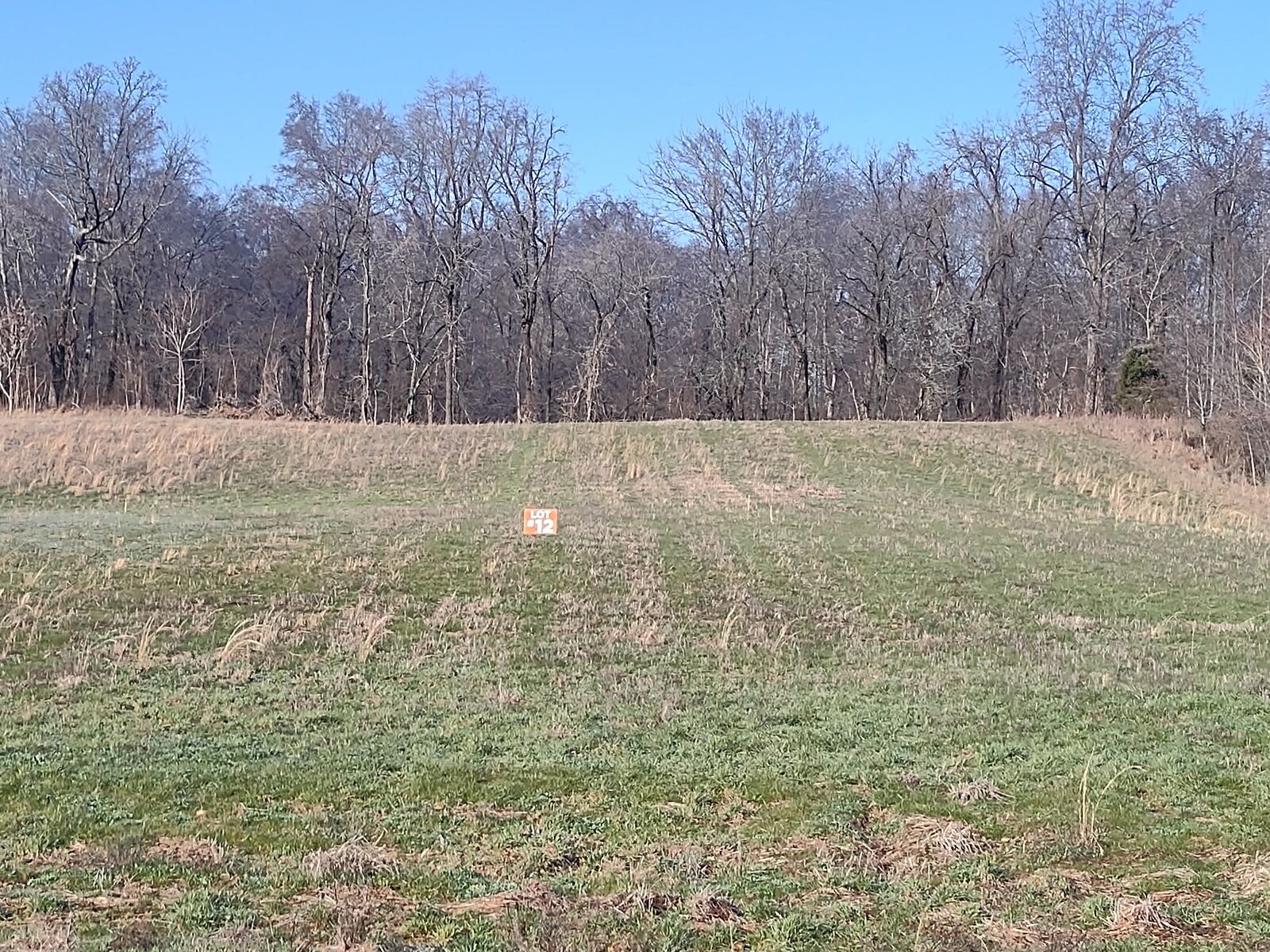 Property Photo: 12 Highway161 TN 37172