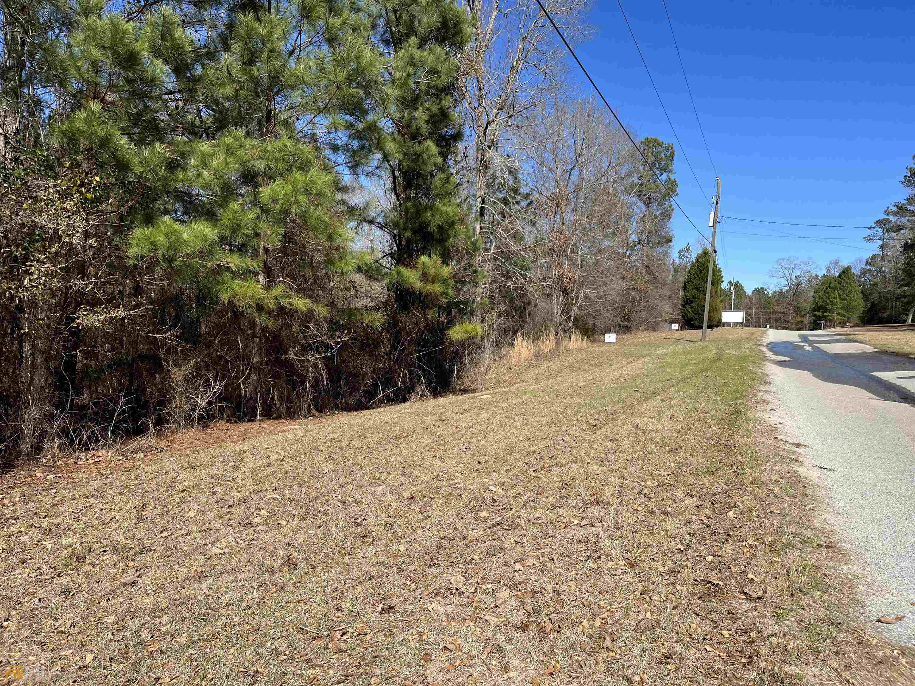 Property Photo:  Troon Dr W Troon Drive  GA 31217 