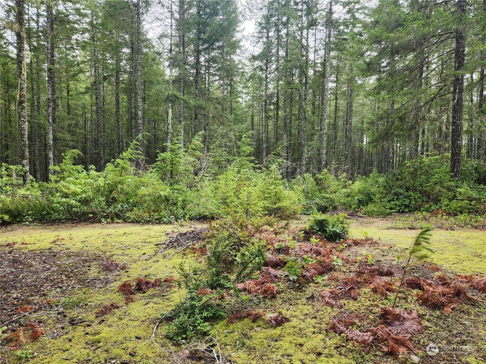 Property Photo: 1370 NE Collins Lake Drive WA 98588