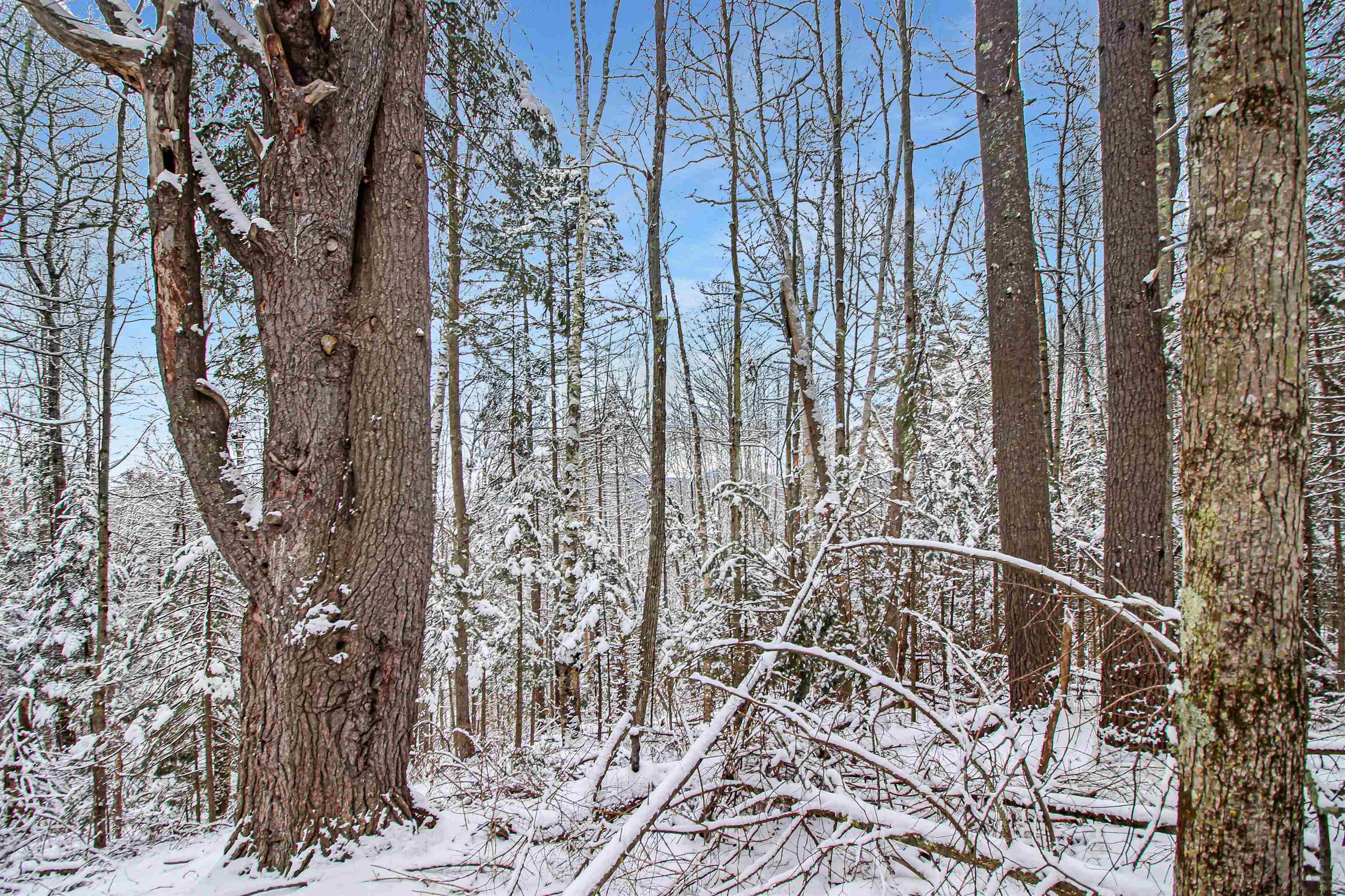 Property Photo:  204-269 King Drive  NH 03784 