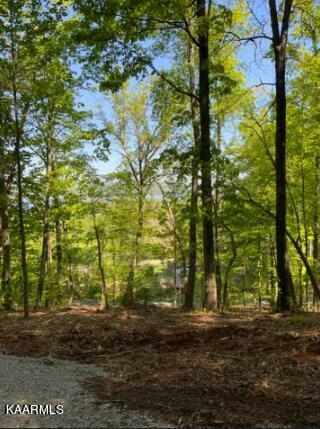 Lot 231R Sunset View Drive  Kingston TN 37763 photo