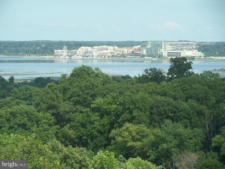 5904 Mount Eagle Drive 902  Alexandria VA 22303 photo