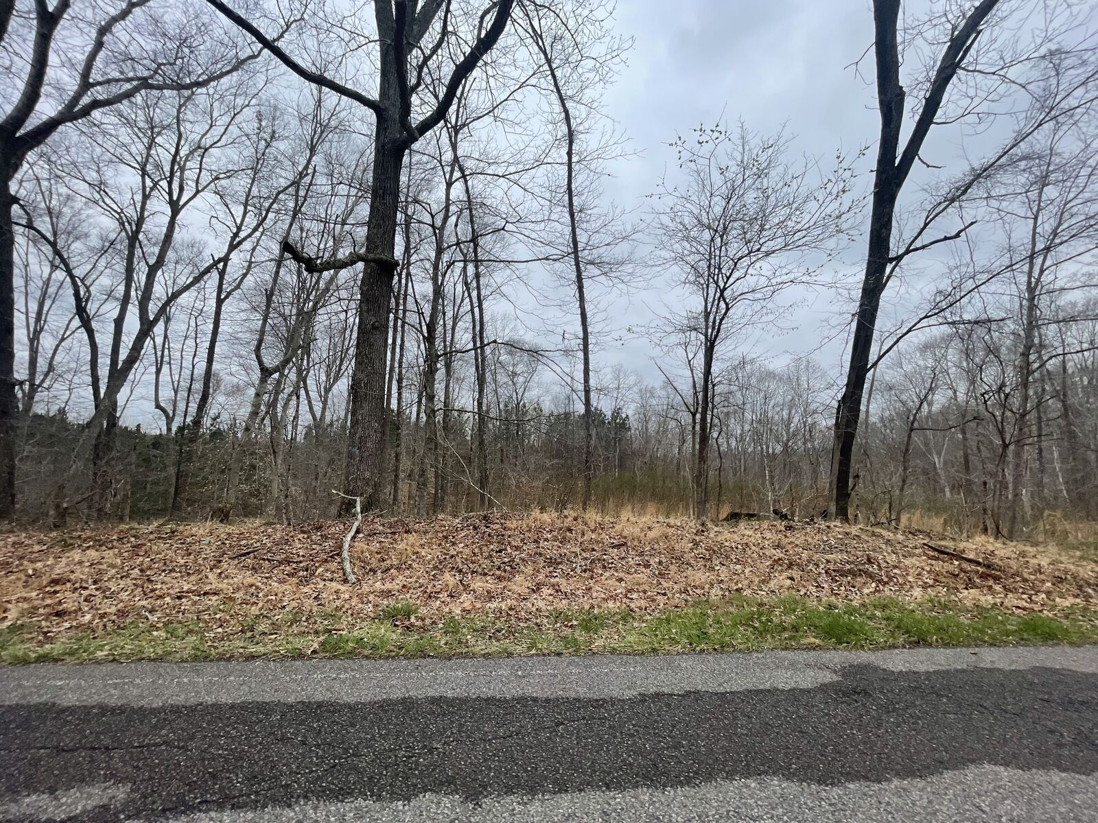 Property Photo: 1 Forest Trl TN 37028