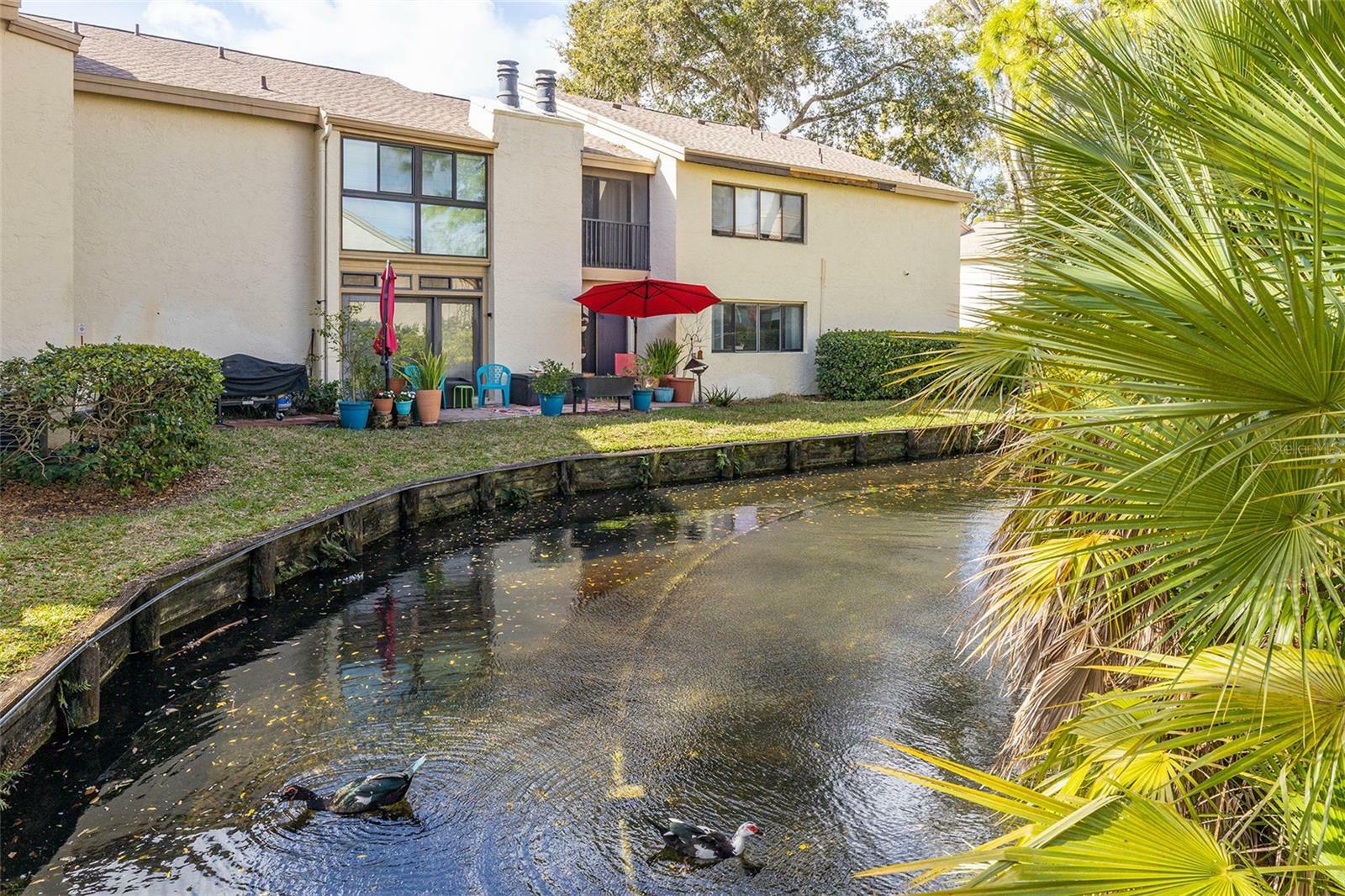 Property Photo: 4144 Pinelake Lane 102 FL 33618