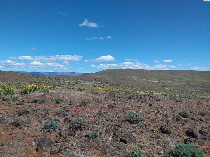 MLS266721 Unassigned Cowiche Mill Rd, Cowiche, WA 98923