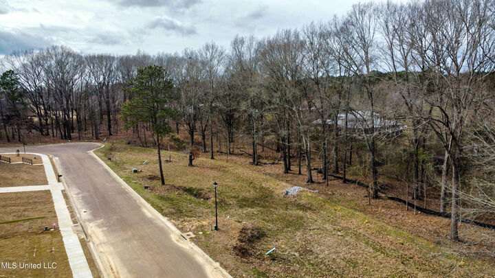 Property Photo: 104 Belle Fleur Lane MS 39056