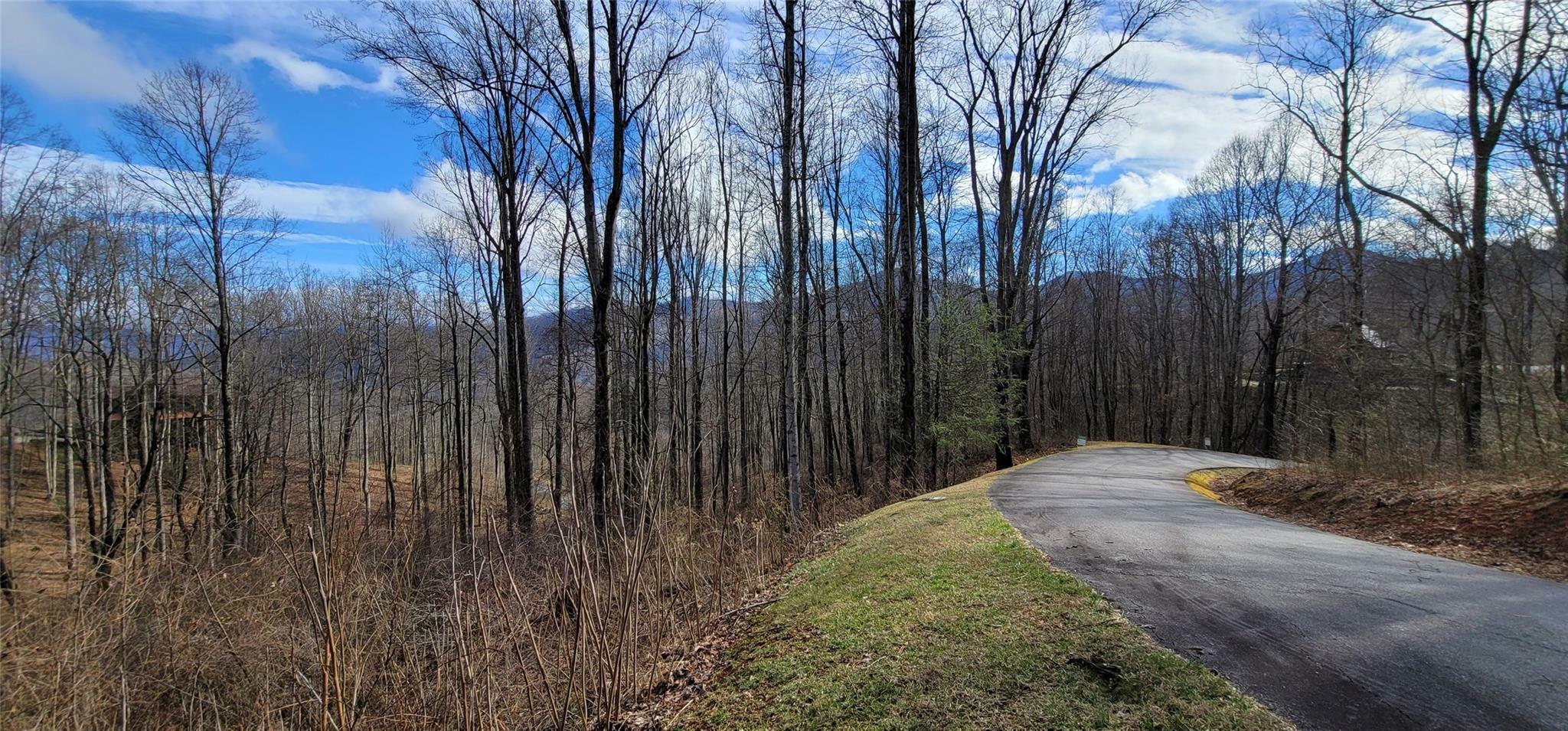 Lot 19 Mountain Watch Drive  Waynesville NC 28785 photo