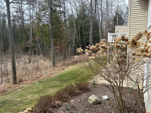 Property Photo: 10691 Birchwood Court MI 49346
