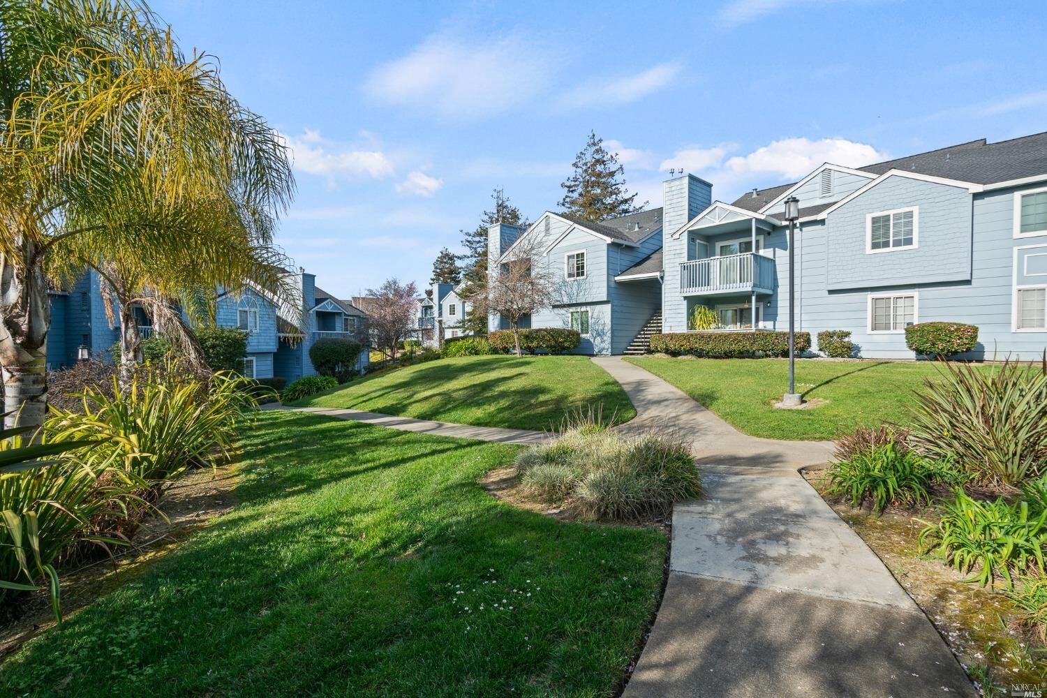 Property Photo: 317 Lighthouse Drive CA 94590