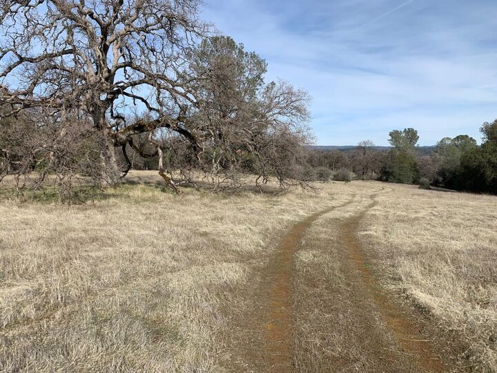 130 Ac Gold Hill Road  Placerville CA 95667 photo