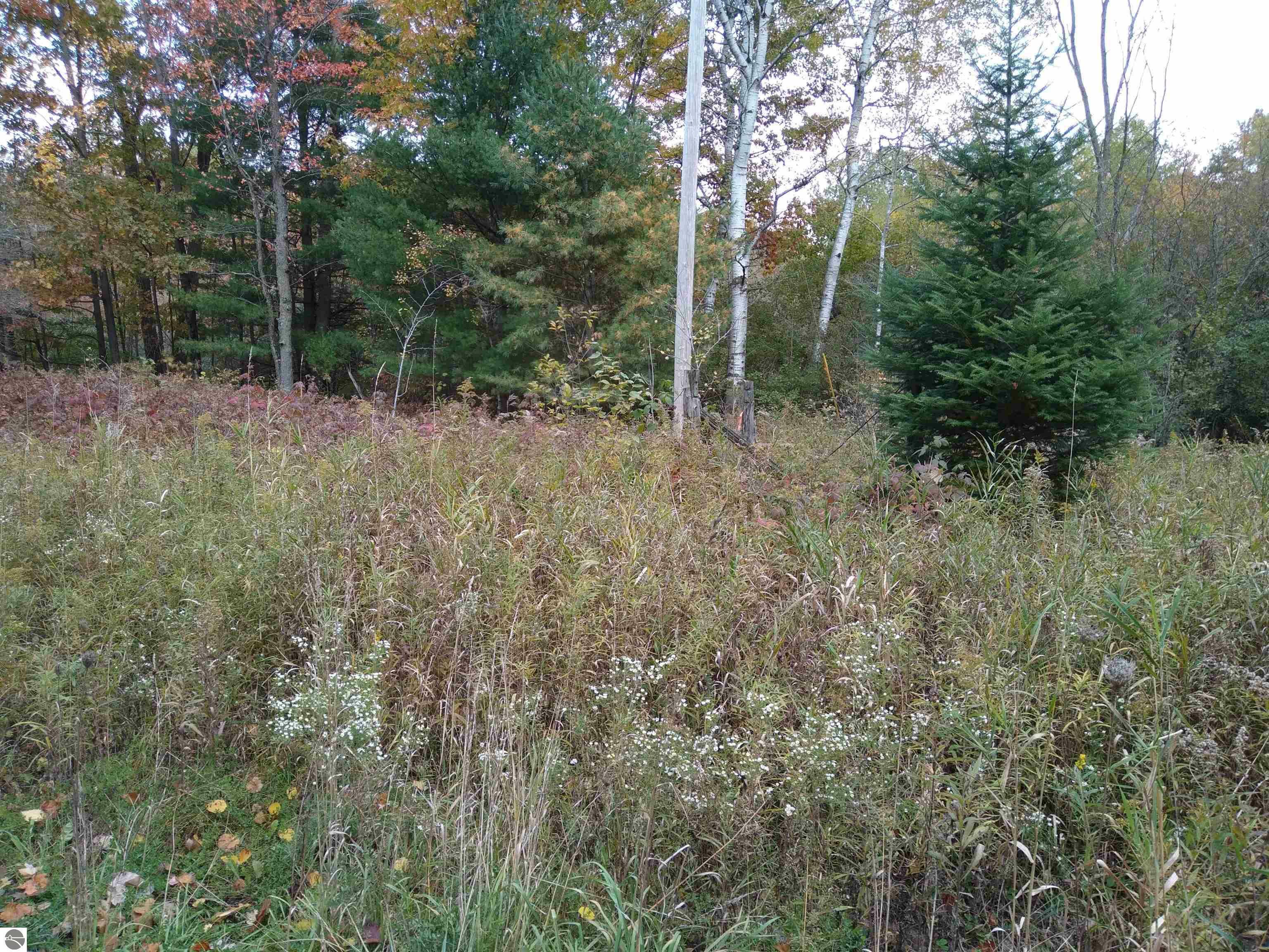 Property Photo: Tbd N Wyman Road MI 48632