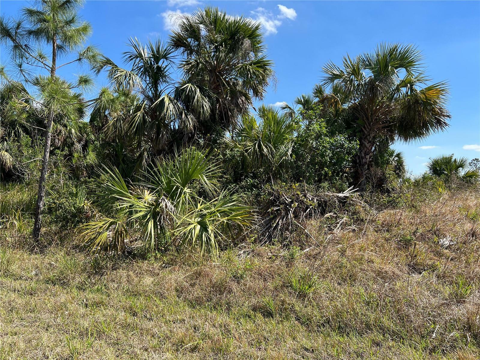 Property Photo:  Crimsonglory Road  FL 34288 