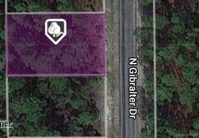 7660 N Gibralter Drive  Citrus Springs FL 34434 photo