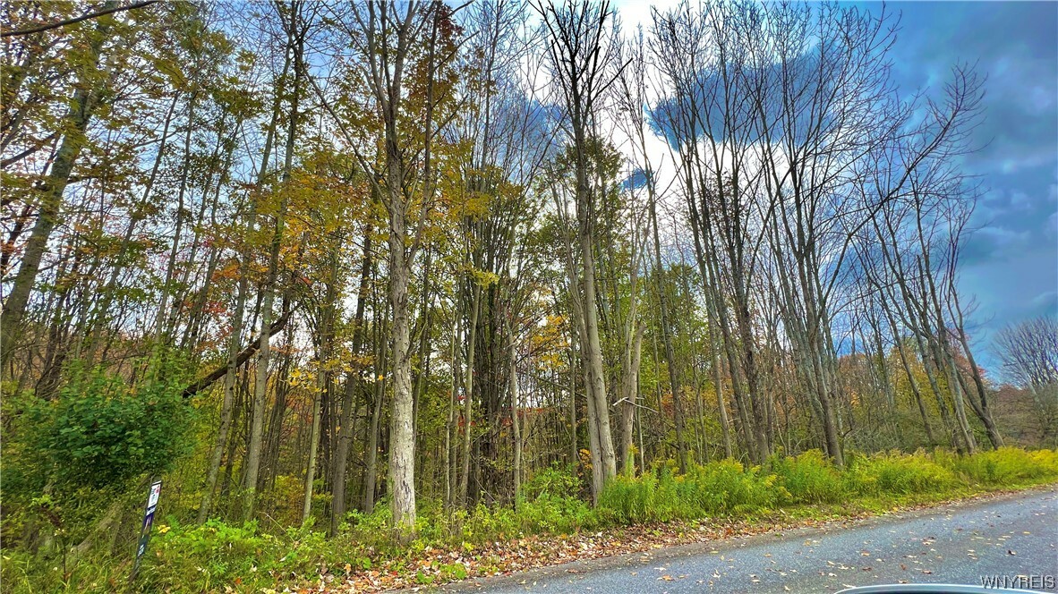 Property Photo:  0 Windsor Road  NY 14779 