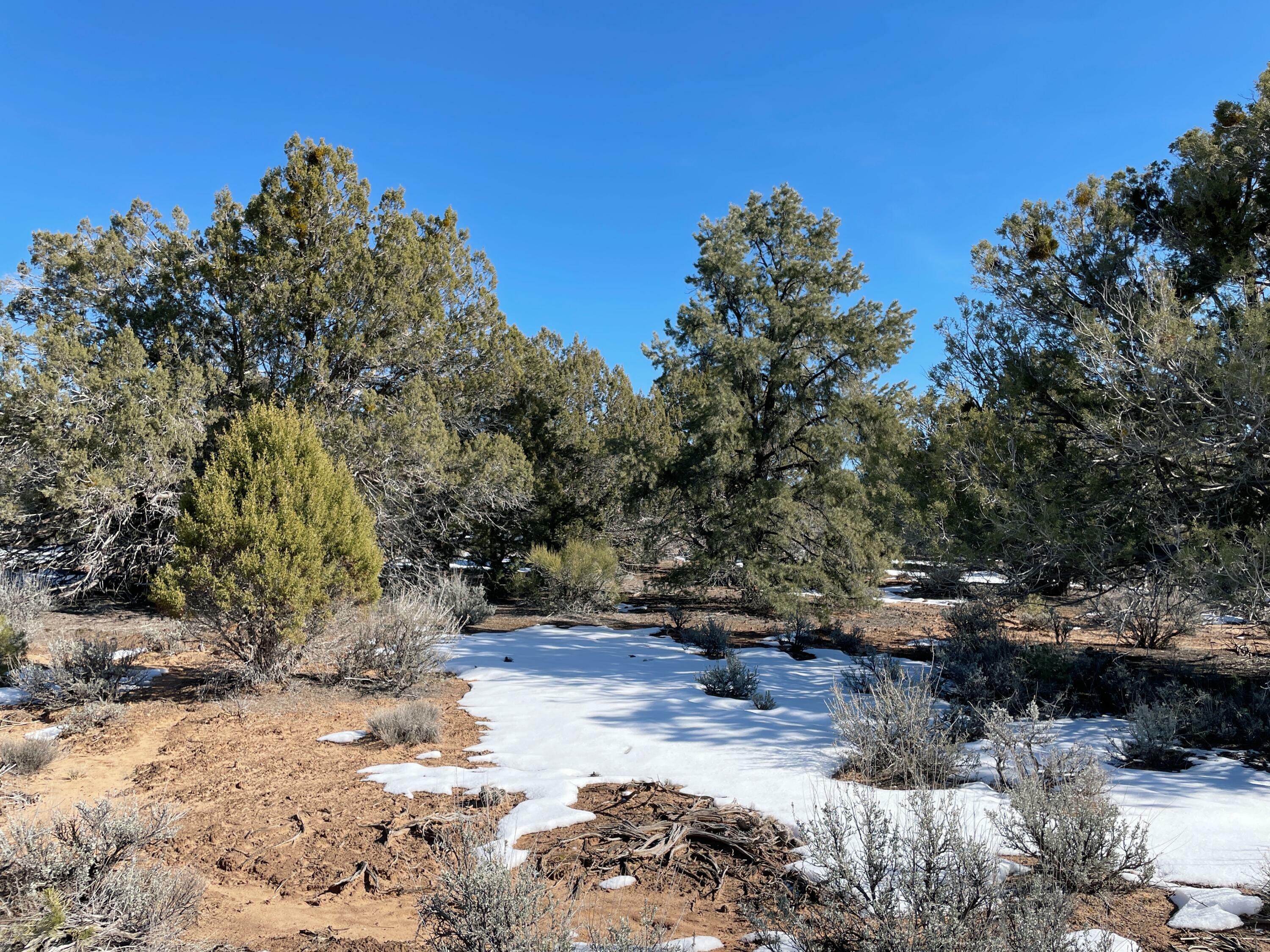 Property Photo: Parcel 6205-B UT 84780
