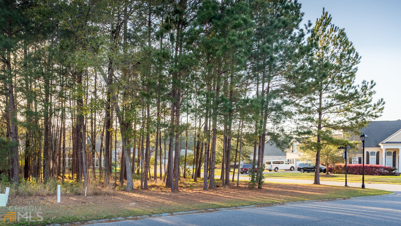 Property Photo:  119 Enclave Boulevard  GA 31419 