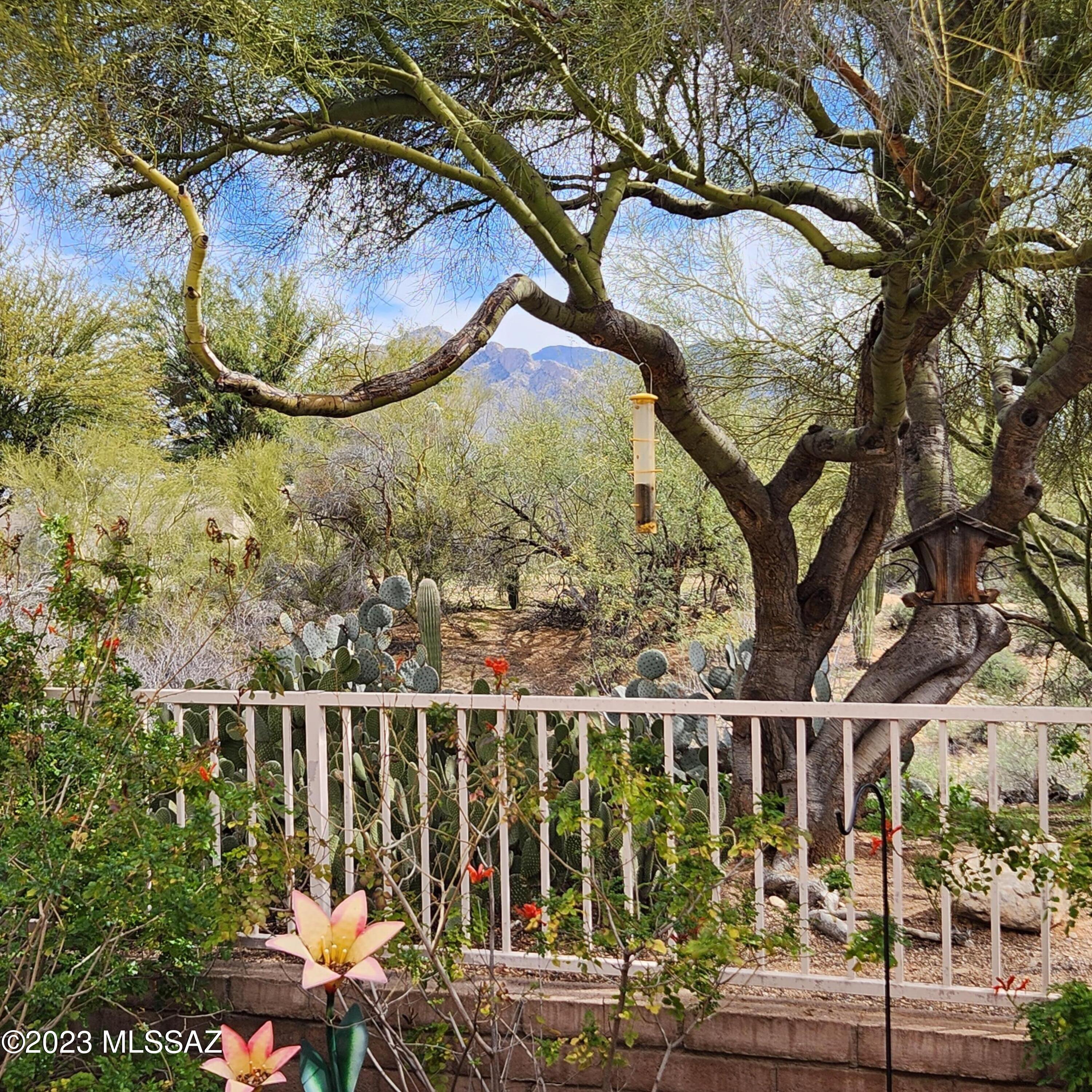 Property Photo: 8310 N Starfinder Place AZ 85704