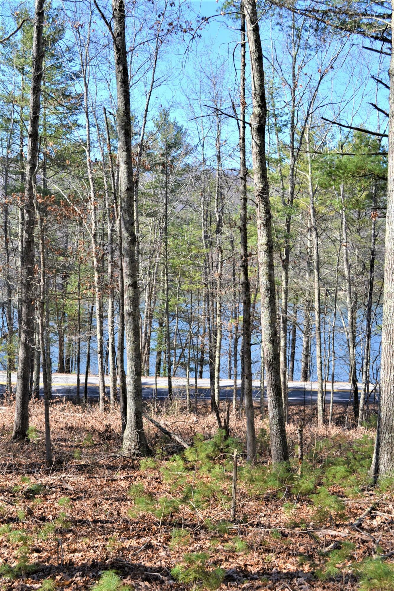 Property Photo:  Moncove Lake Road  WV 24941 