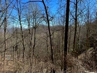 Property Photo: 975 Asgi Trail C31 NC 28751