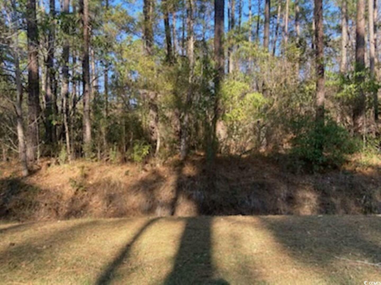 Property Photo: 9 Gumwood Dr. NC 28467